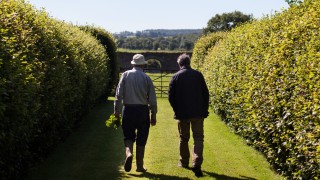 2 men walking through an avenue of beech hedging